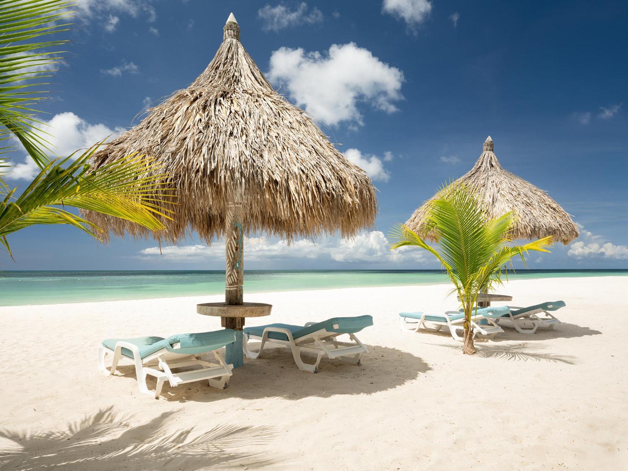Boardwalk Boutique Hotel Aruba - Adults Only Palm Beach Bagian luar foto